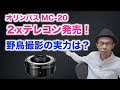 【オリンパスから2xテレコン登場】野鳥撮影で焦点距離600mmまで伸びる【M.ZUIKO DIGI…