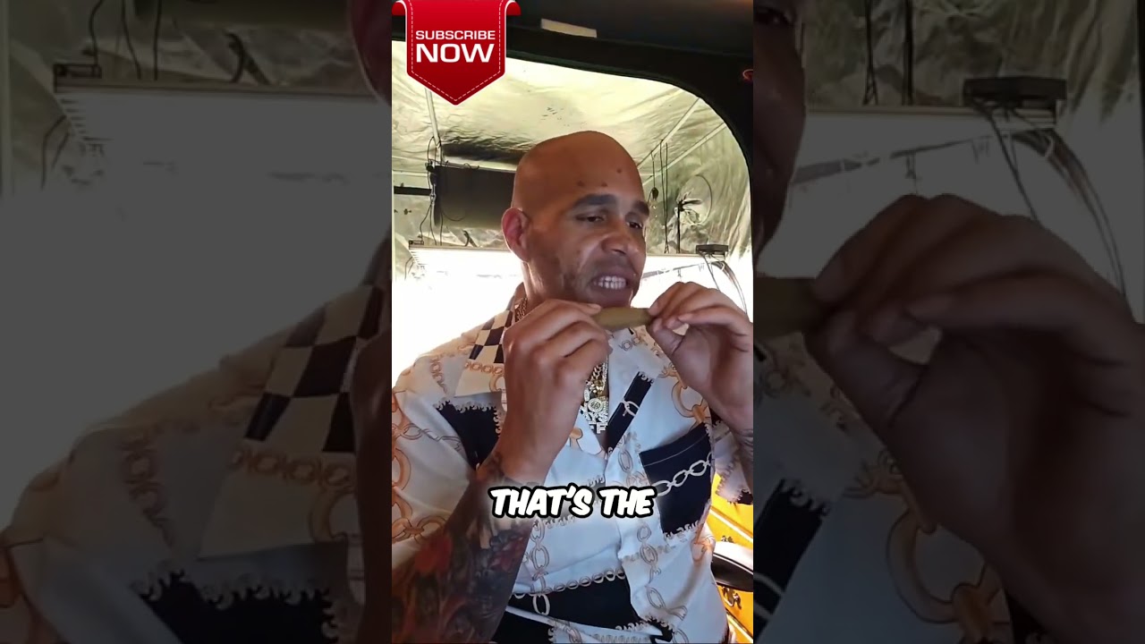 Unveiling the Newest Trends in Bay Area Cannabis Seeds