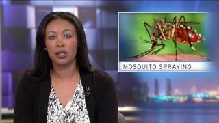 Wednesday, April 19, 2017 - Evening Edition
