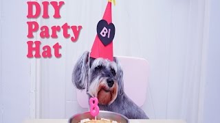 DIY Quick & Easy Party Hat