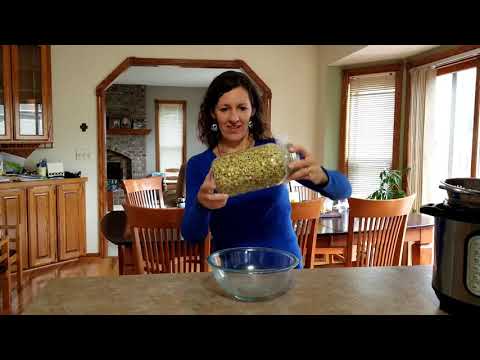 Quarantine Hack: Sprouting Lentils for Fresh Food from the Pantry in 2 Minutes a Day!