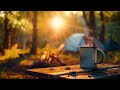 Start your day in this calmful forest campsite ambience