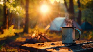 Start your day in this calmful Forest Campsite Ambience
