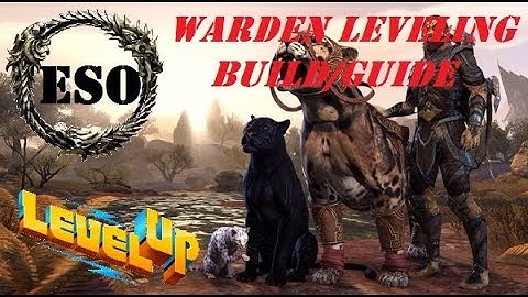 ESO: Warden Leveling BUILD/GUIDE (STAMINA/MAGICKA)
