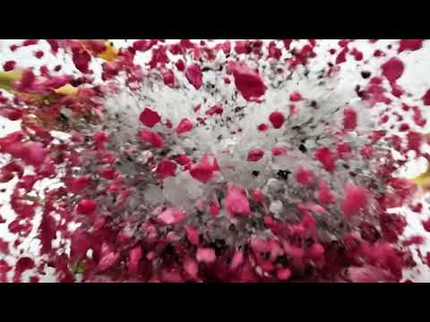 ASMR Dragon's Detonation | 4K A Satisfying Multi-Layered Explosion