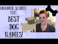 BEST DOG NAMES FROM A DOG GROOMER! MALE, FEMALE, UNISEX PET NAMES!