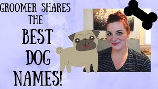 BEST DOG NAMES FROM A DOG GROOMER! MALE, FEMALE, UNISEX PET NAMES!