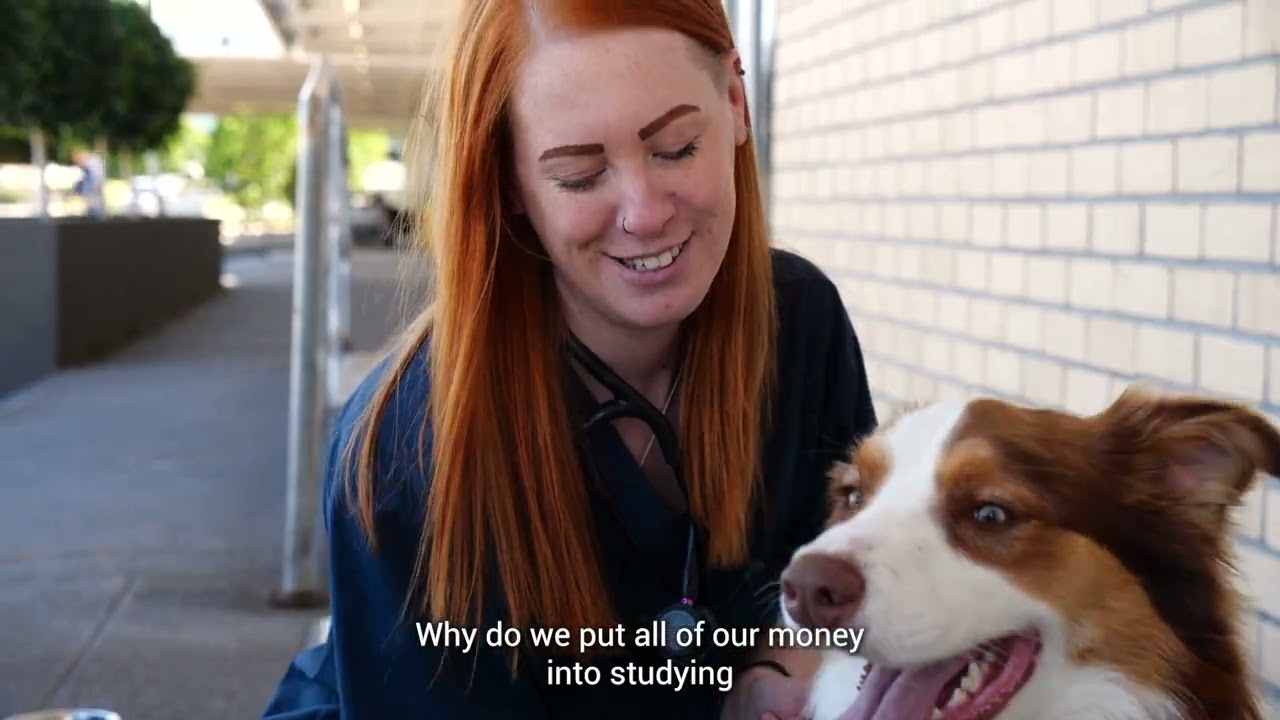 A Day in the Life of a Veterinary Nurse -  Laura Bennington RVN