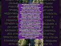#история #историиизжизни #дедушка #танки #онлайн #боты #смешное