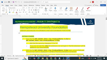 SAM Project 1a Excel Module 11 | Hempstead University Foundation