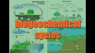 Biogeochemical Cycles Rap and R/B song (Cycles of Matter)- KRISTIN CHAVIS