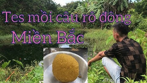 tes thử mồi câu cá rô đồng ngoài miền Bắc tại trong vùng nước trong miền Nam_út nọng vlogs#42