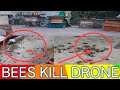Why bees kick or kill drone bees bees drones ko kyu mar raha hai bees viralkashmiribeekeeper