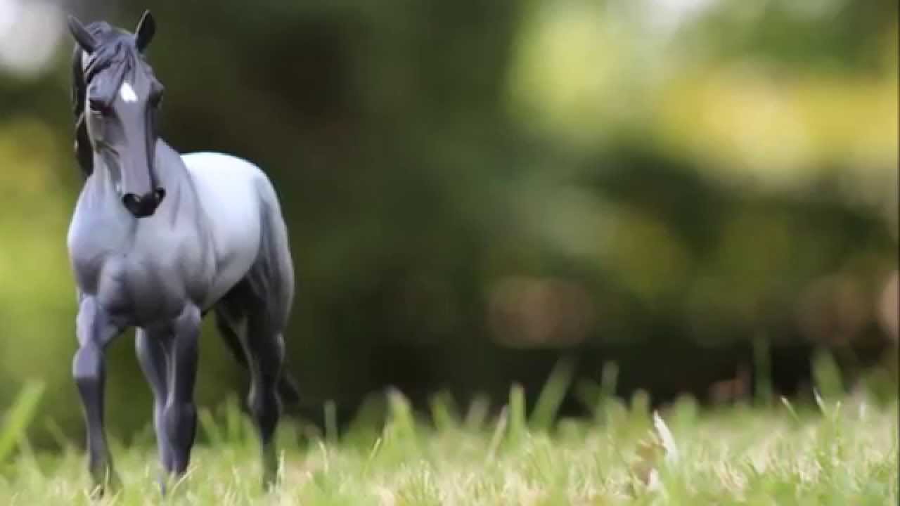 Creative and Realistic Breyer Photography- Summer 2015 - YouTube
