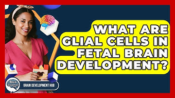 What Are Glial Cells In Fetal Brain Development? - Brain Development Hub
