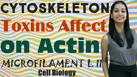 Toxins affect on Actin Filament|Cytoskeleton Lecture II|Cell Biology|Unit II|MICROFILAMENT|