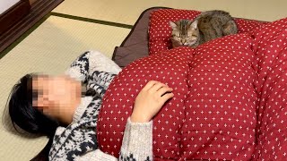 ENG) Lazy person and cats using a kotatsu for the first time in their life... lol
