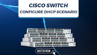 Cisco Switch Configure DHCP Scenario - UniNets