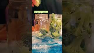 Famous 🌻 How To Keep Your Vegetables Fresh Longer | #shorts #kitchentips #broccoli Net Worth