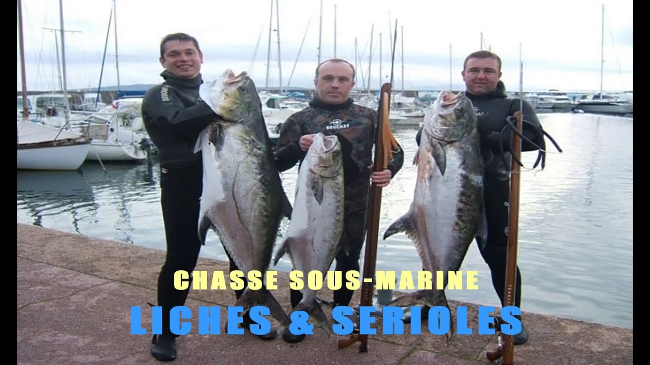 CHASSE SOUS-MARINE : LICHES & SÉRIOLES