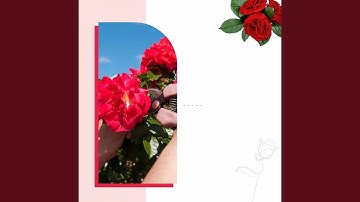 Mysterious Moods for Lazy Days