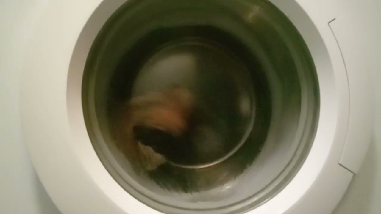 16 січня 2026 р.