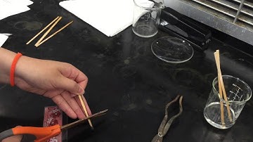 Forensic Investigations with Chromatography