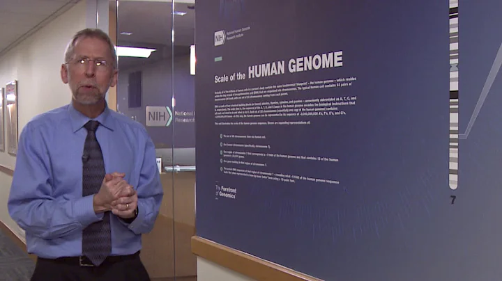 Scale of the Human Genome (with animations) - Eric Green