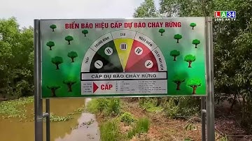 Kiểm tra công tác PCCC rừng giữa cao điểm mùa khô | LONG AN TV