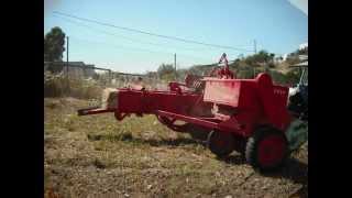 Tareas Agrícolas (Periana)