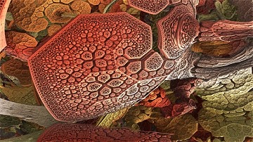 Axoloti based DIY Tigerbox Synth and Mandelbulb 3D Ambientmusic