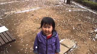 DSCF6198.AVI