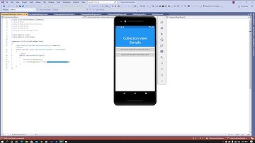 Collection View In Xamarin Forms (Linear Items Layout & Grid Items Layout)