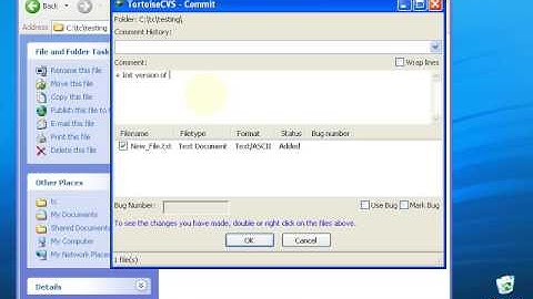 CVS Tutorial 4 Check in