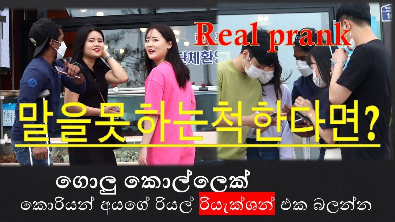 REAL REACTION FROM KOREANS 말을못하는척 하다가 갑자기 한국어말해보기(한국의반응)