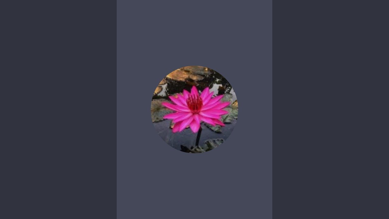 Nature's world with me..🕊️ is live