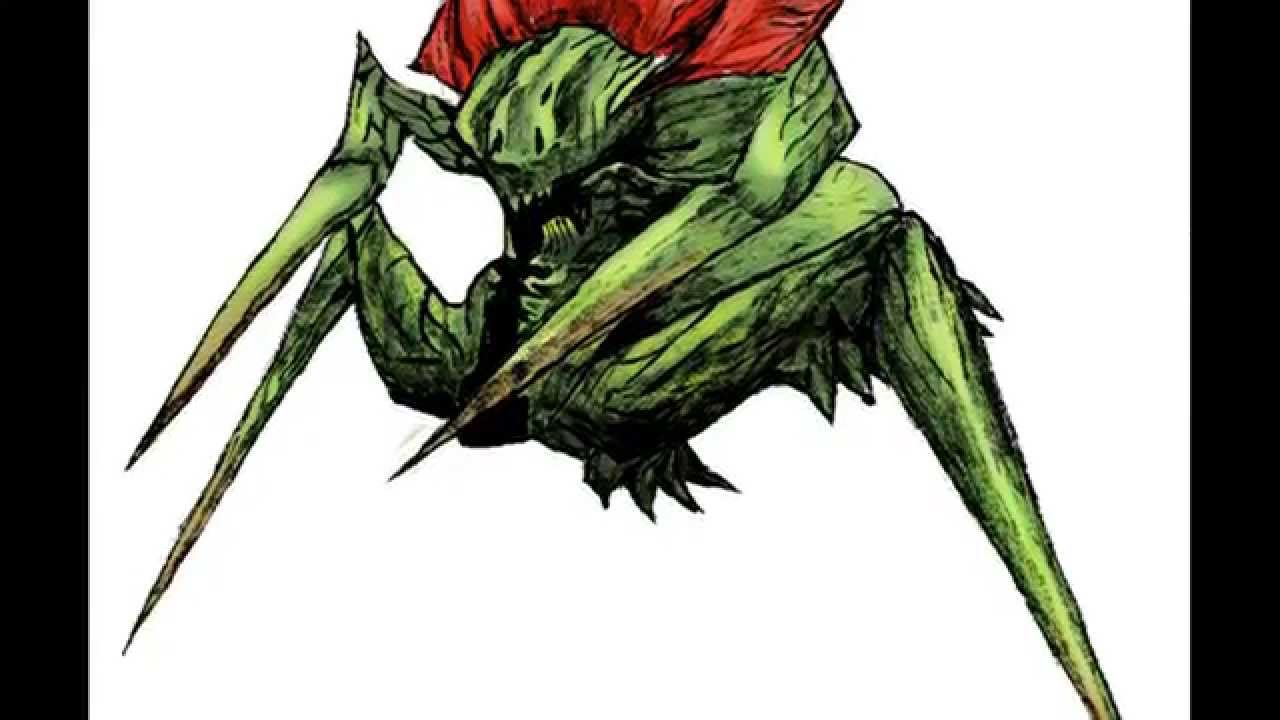 Plant Spider