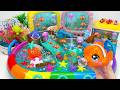 ASMR Satisfying Unboxing Nemo Fish Water Park Rainbow Pool Aquarium Robo Alive Toys🐠🌊Aqua Toys ASMR