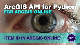 Where to find an ArcGIS Online Item ID to use with the ArcGIS API for Python!