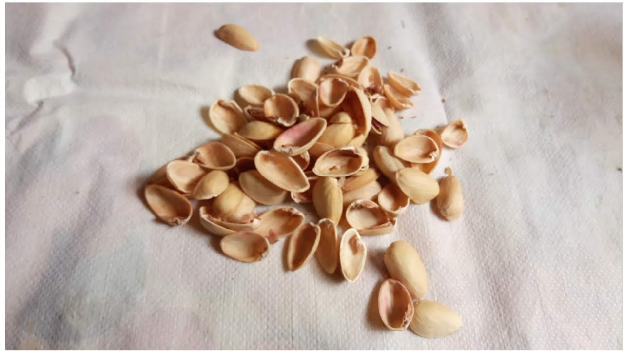 Pistha Shell #Bestoutofwaste//#how toreuse pistha shells//#easycrafts with pistha ...