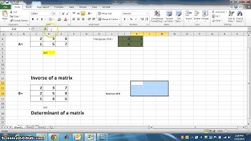 TRANSEPOSE, INVERSE AND DETERMINANT OF A MATRIX
