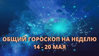 Общий гороскоп на неделю : что ждет каждый из знаков Зодиака с 14 по 20 мая Гороскоп на завтра