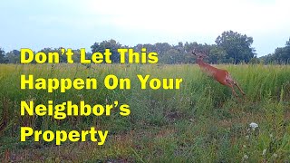 From Cornfield to Big Buck Habitat In 3 Years With Little Expense