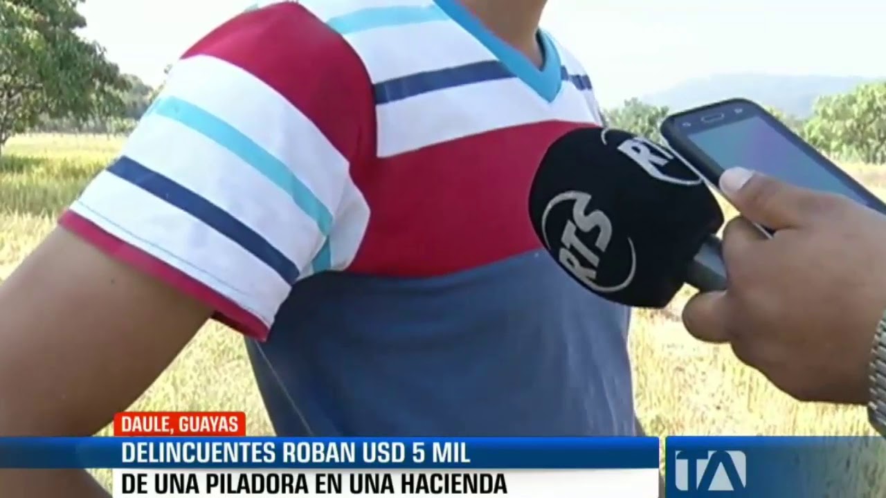 Delincuentes roban USD 5 000 en hacienda de Daule farándula nacional