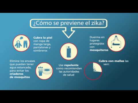 Infografía animada sobre la enfermedad del Virus Zika