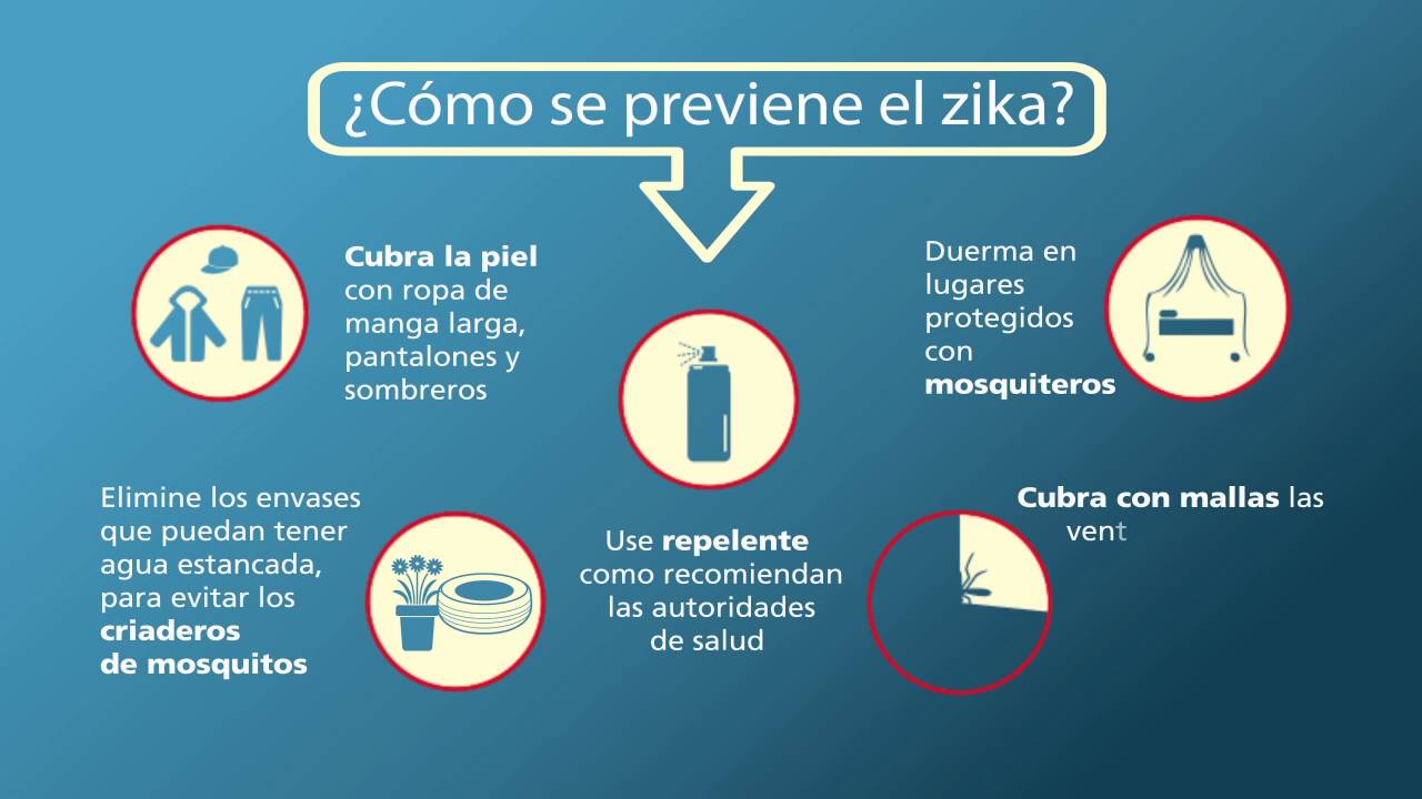 Obligar no se dio cuenta Ocho Zika - OPS/OMS | Organización Panamericana de la Salud