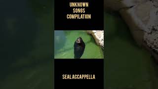 Unknown Songs Compilation! #lostwave