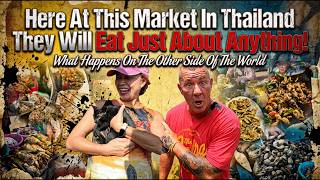 Download Lagu You Can't Eat That! In NE Thailand They Eat Everything! I Will Walk You Through This Crazy Market. MP3