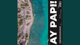 AY PAPI! (feat. Marvin's Brain & rocko)