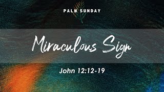 'Miraculous Sign' - Palm Sunday by Bonavista Baptist Church 30 views 1 month ago 22 minutes